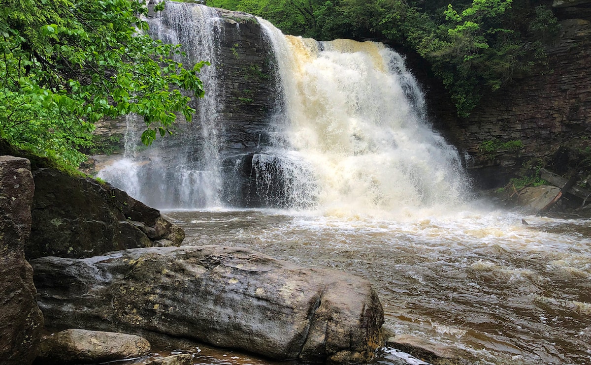 Peaceful Tranquil PVT RM Near Catoctin Park Trails