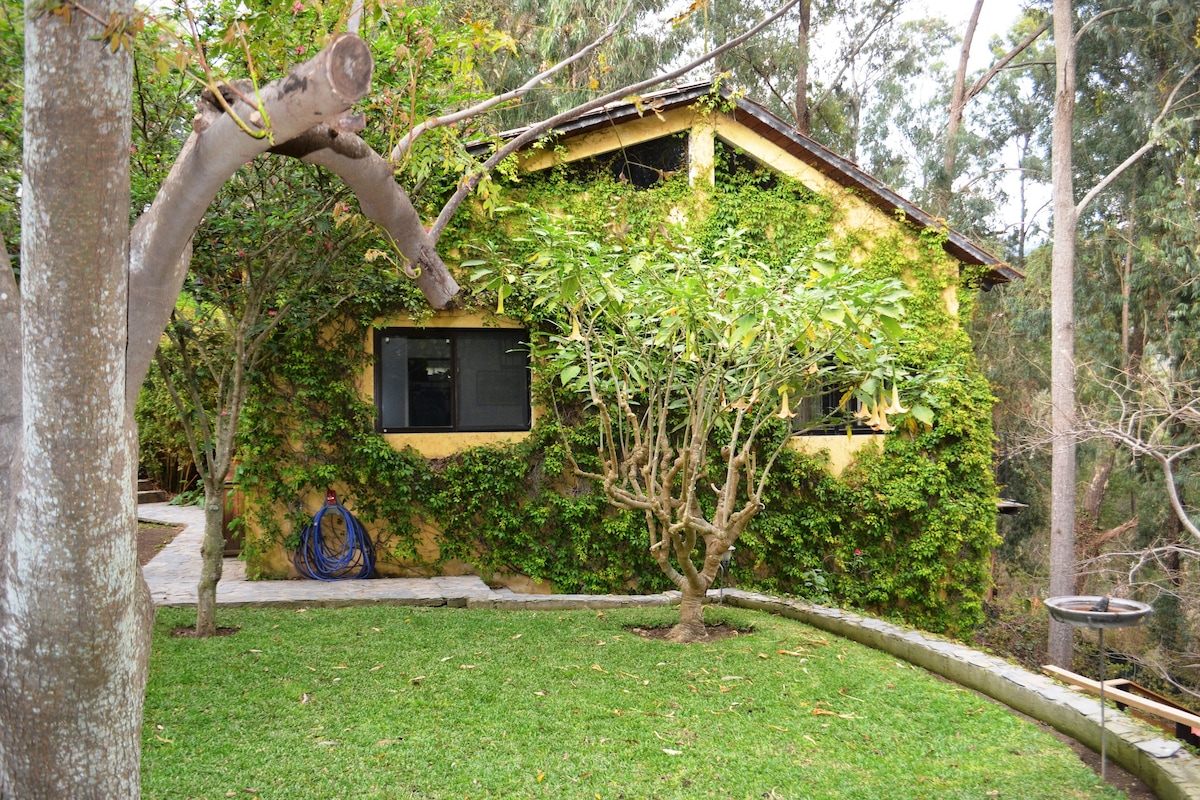 Guest house loft in antigua