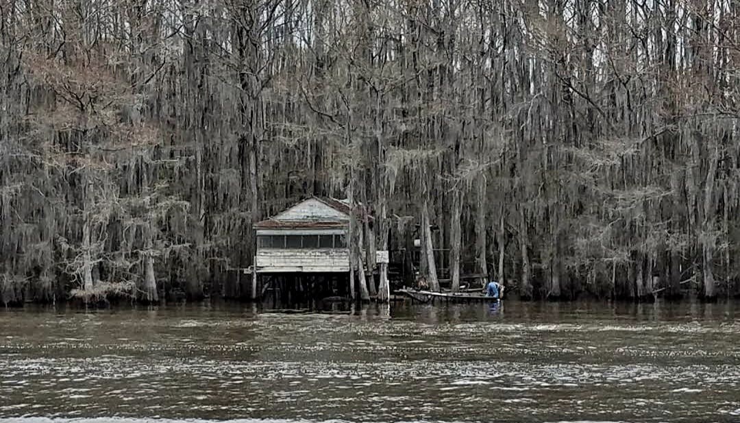 Keepin It Reel on Caddo Lake （船屋）