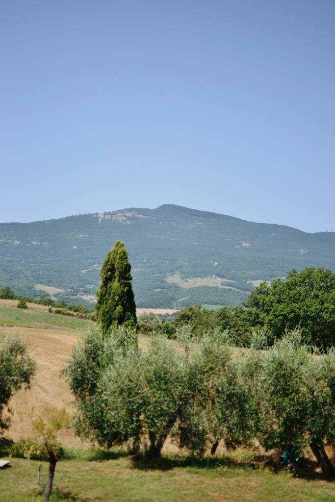 Il Pomerio - farmhouse with panoramic view