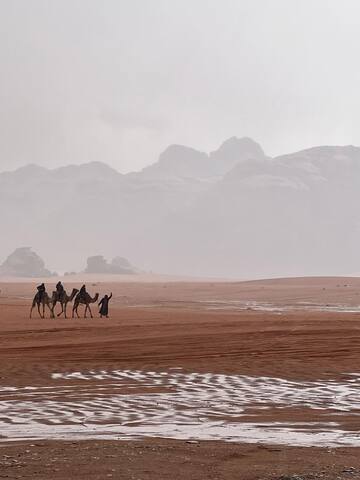 Wadi Rum Village的民宿