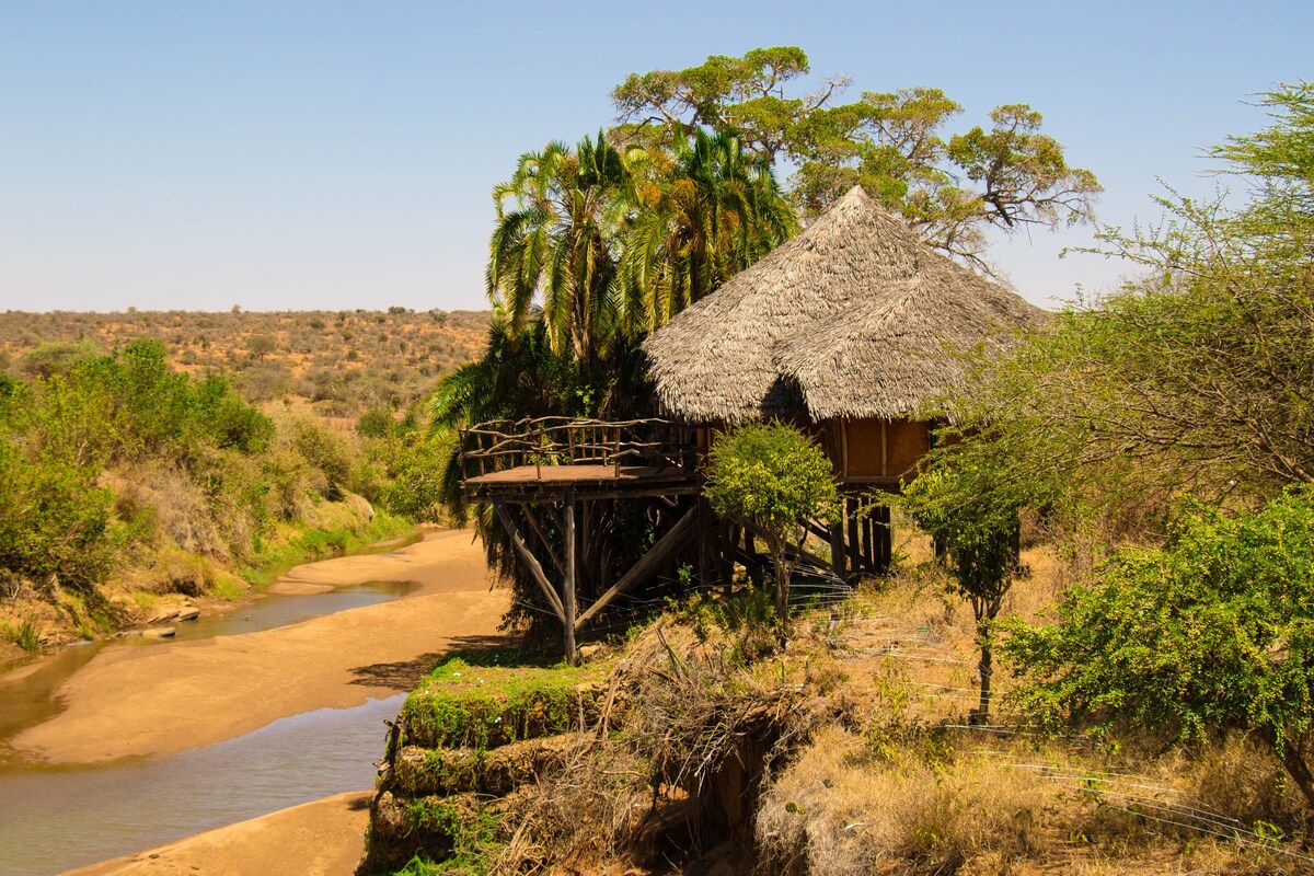 Unique experience at Koija Starbeds