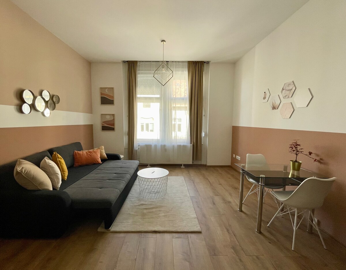 An apartment close to the center and River Danube