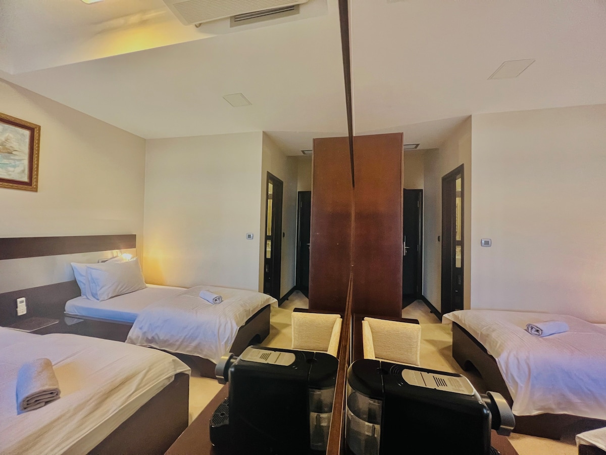 Hotel Aria - Twin Room 101