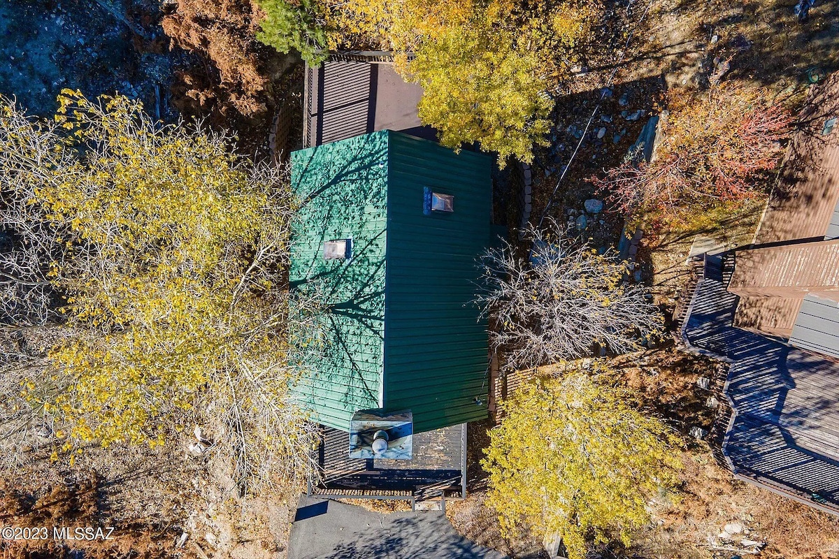 The Family Bear Cabin