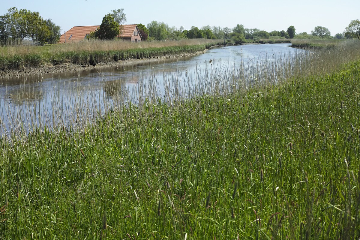 Deichhasenhof Jümme-Ostfriesland