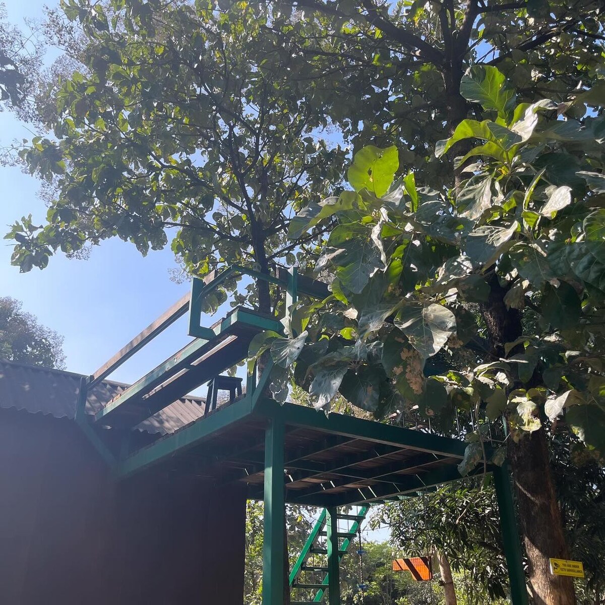 Treehouse Cabin at Hornbill Farm