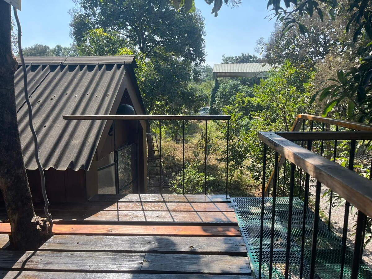 Treehouse Cabin at Hornbill Farm