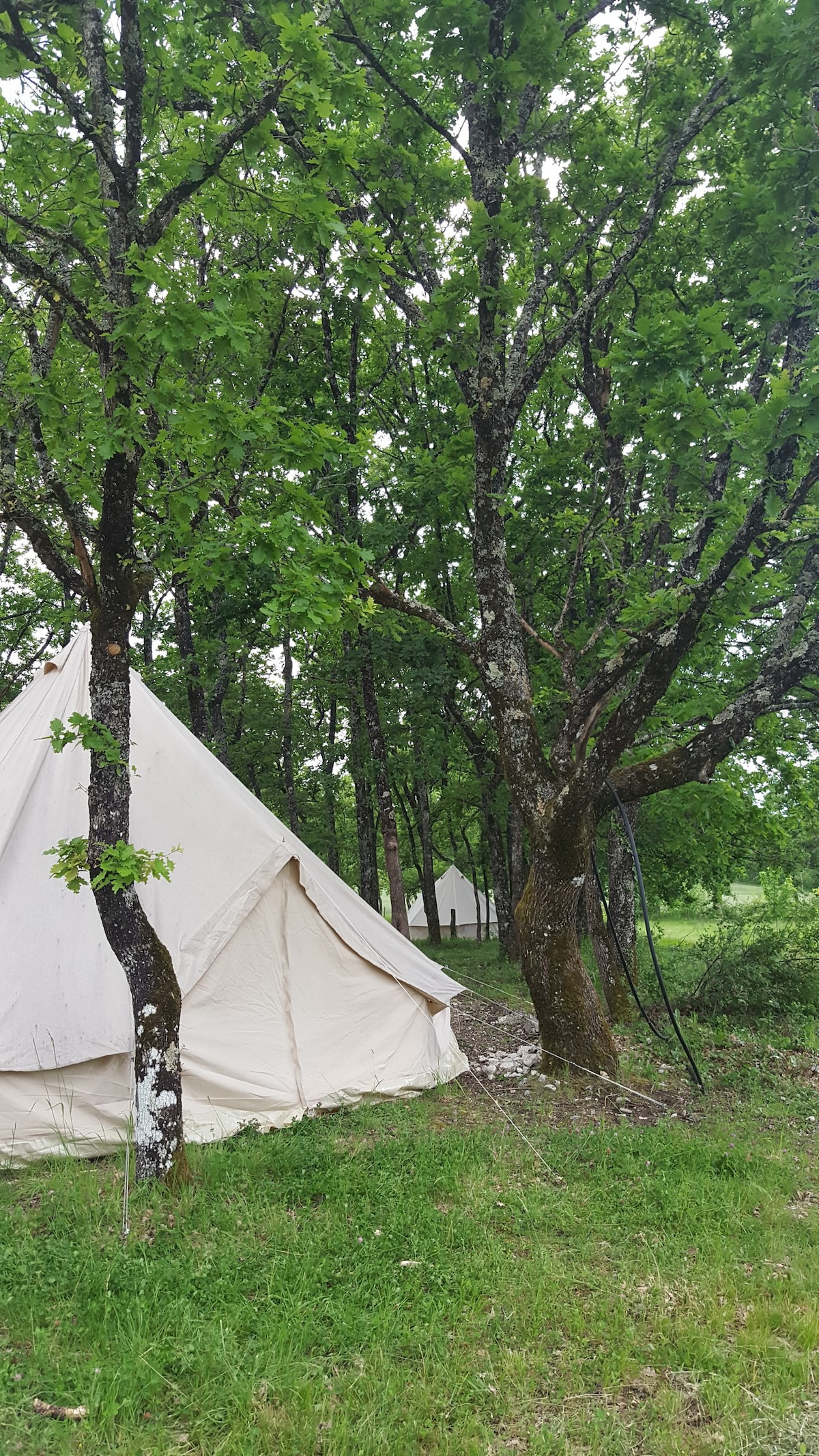 Tente inuit 4 personnes