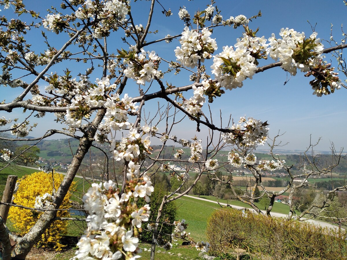 Haus Ybbstalblick