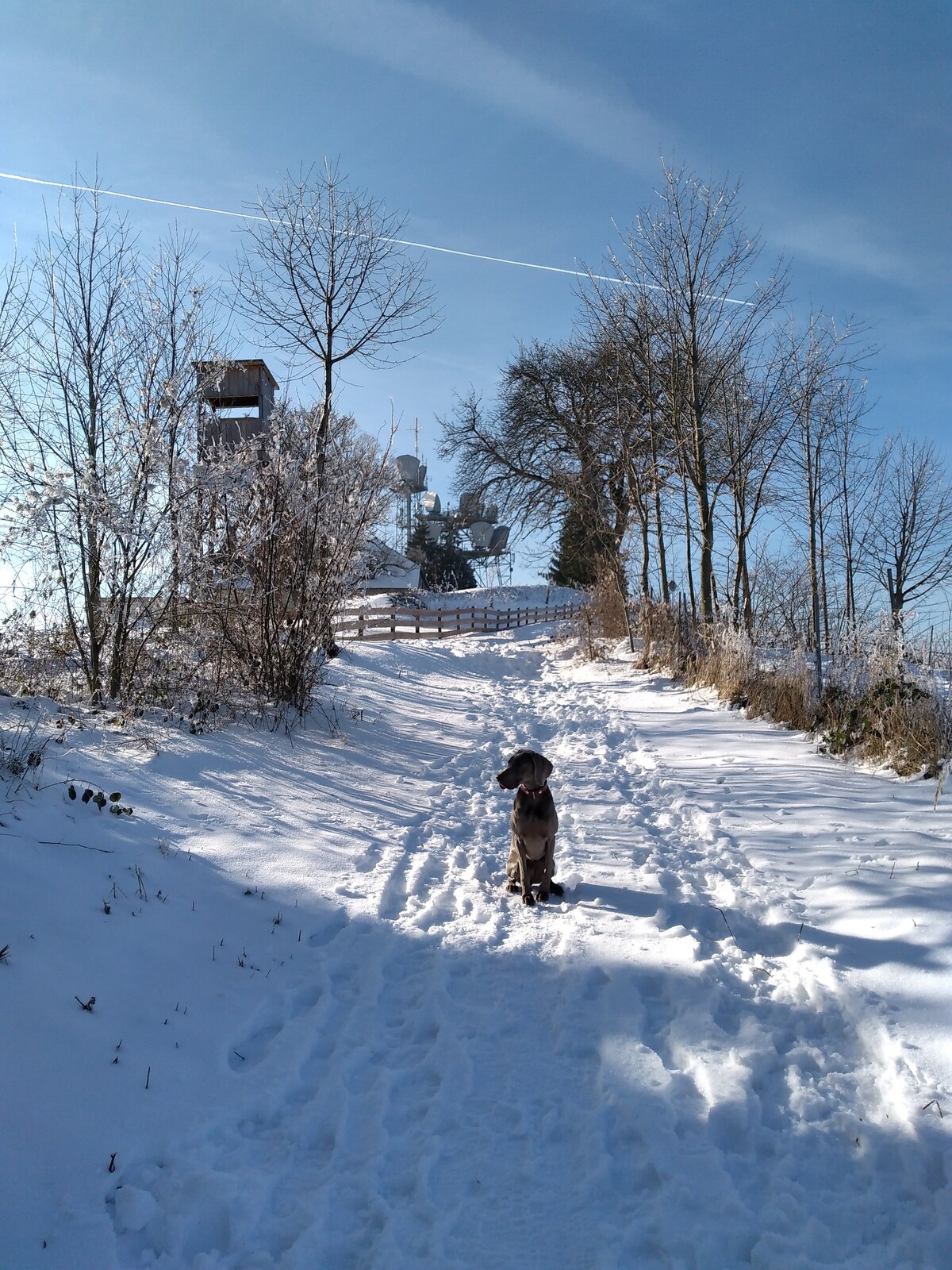 Haus Ybbstalblick