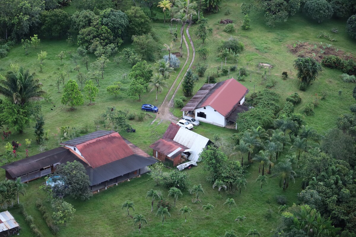 Maison au cœur de la forêt amazonienne