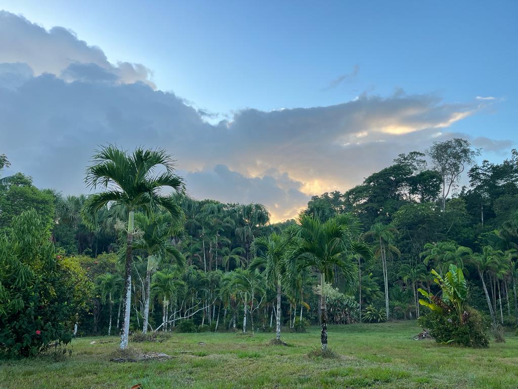 Maison au cœur de la forêt amazonienne