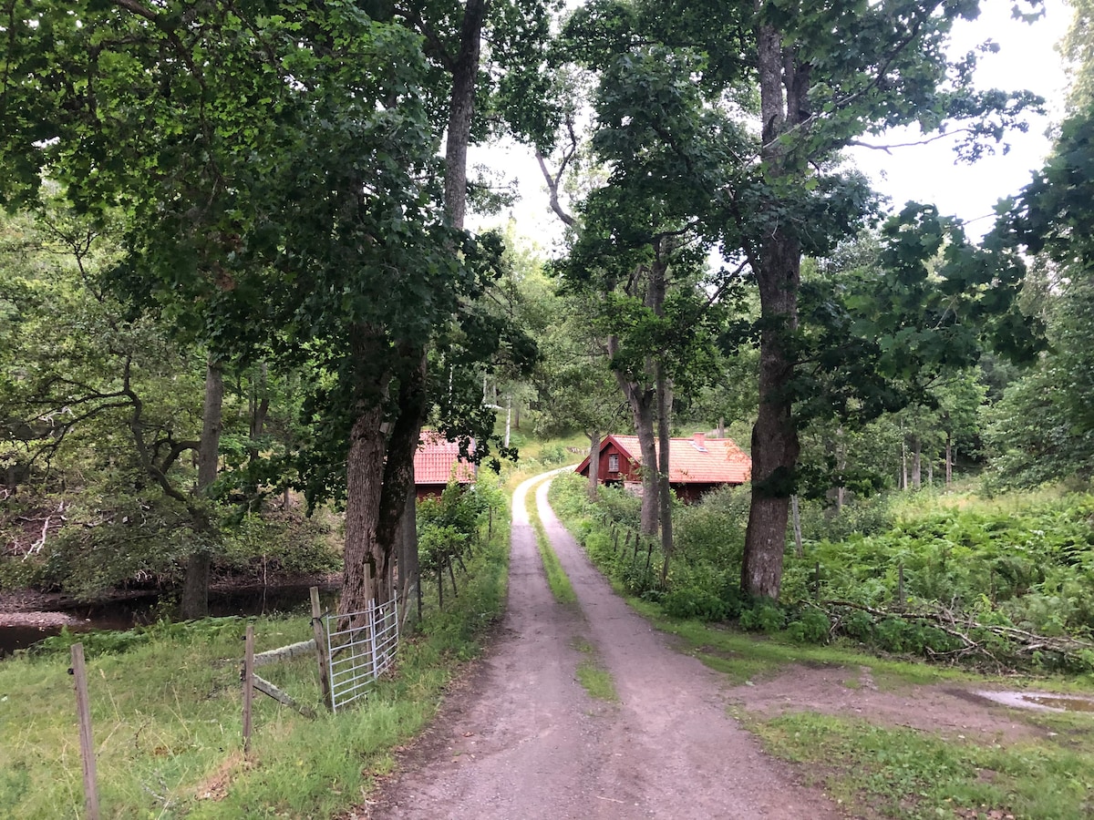 Sjönära stuga för liten familj