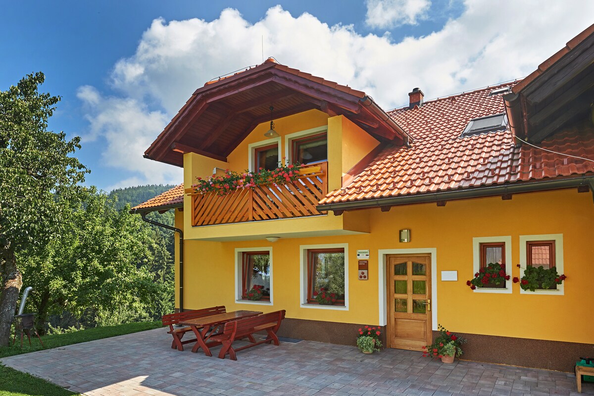 Sunflower room Ecofarm Gradišnik