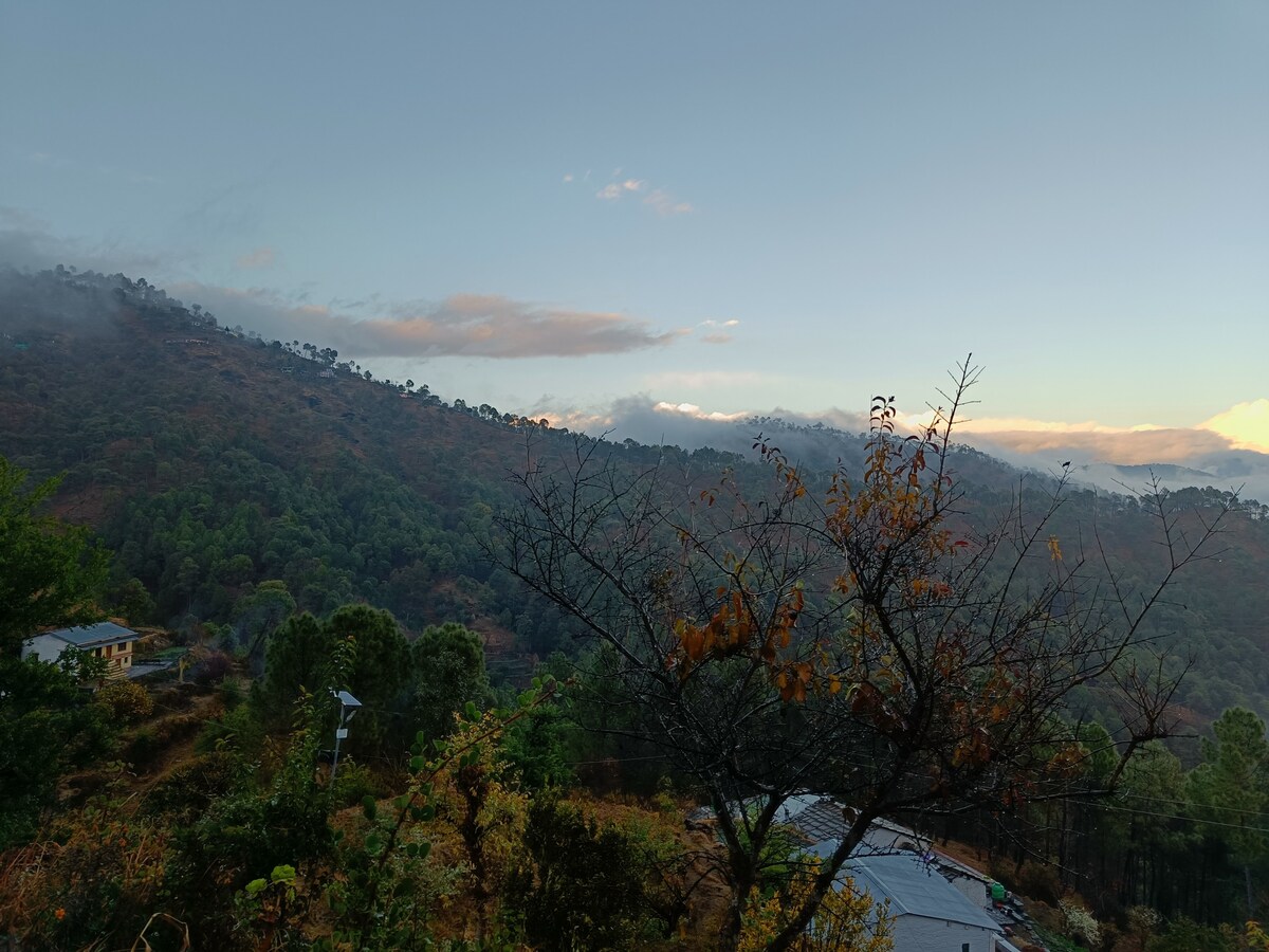 Charu's Himalayan Hippies