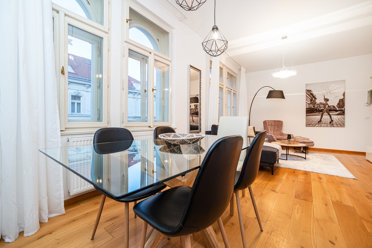 Large and stylish 3 bedroom apartment in Prague