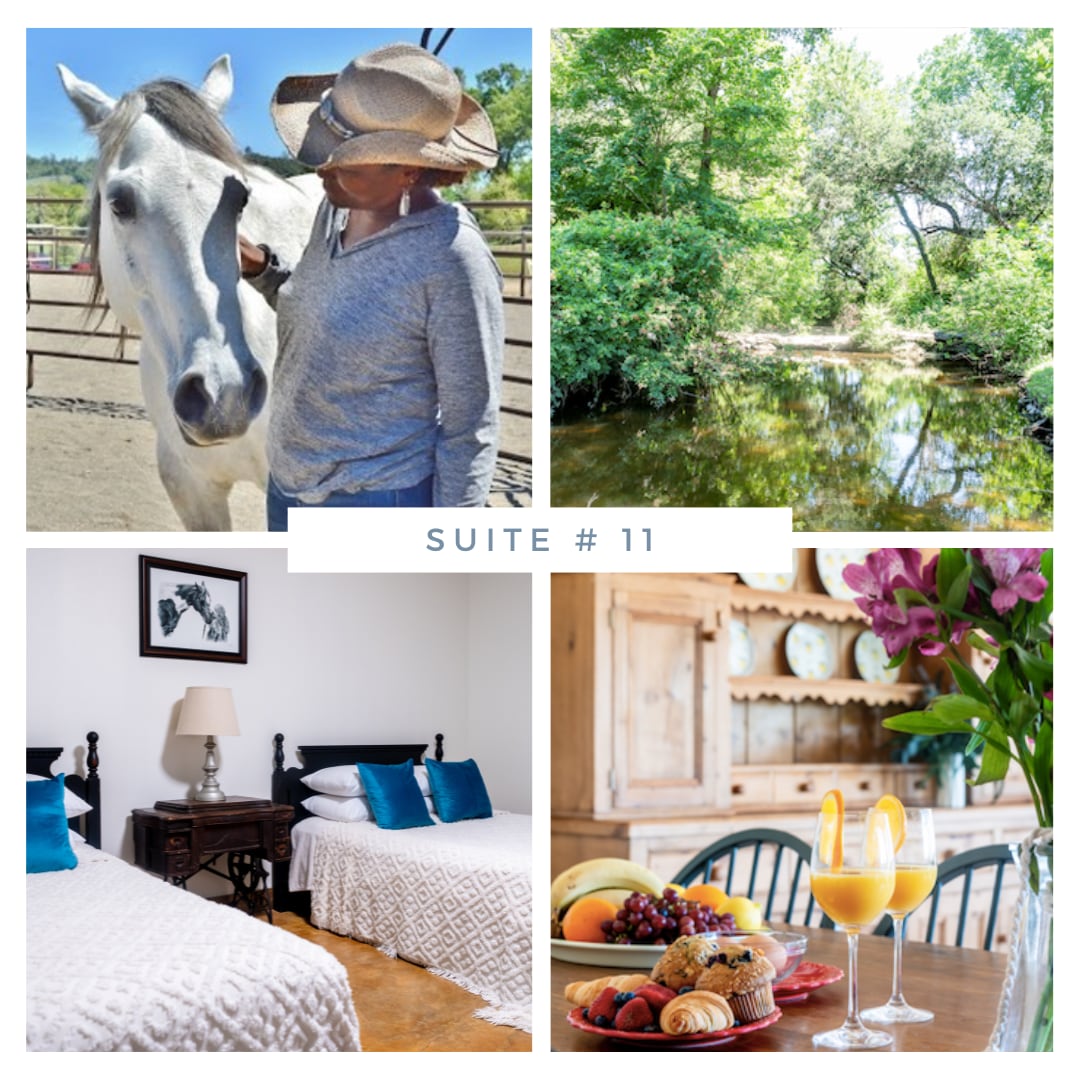 #11: Horse Oasis Suite-2 bds -10 min to Round Top!