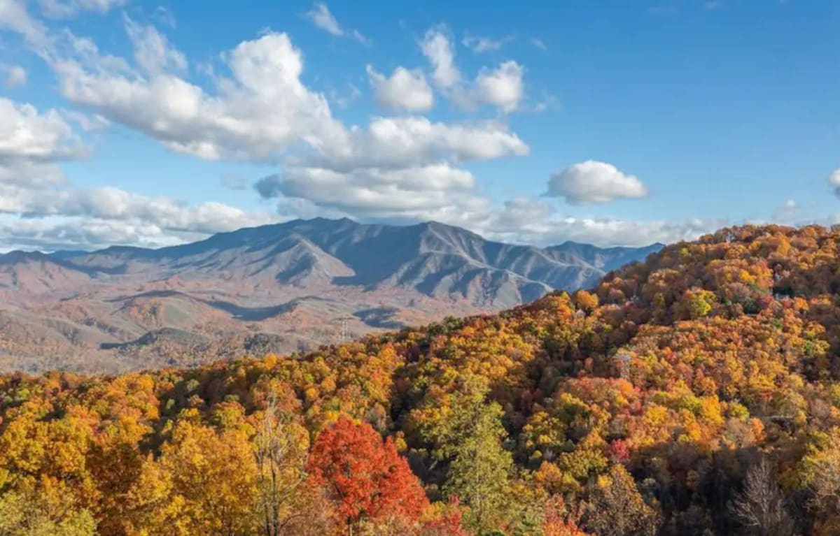 2间卧室/2间浴室！令人惊叹的莱孔山（ Mt Leconte ）景观！高速无线网络！