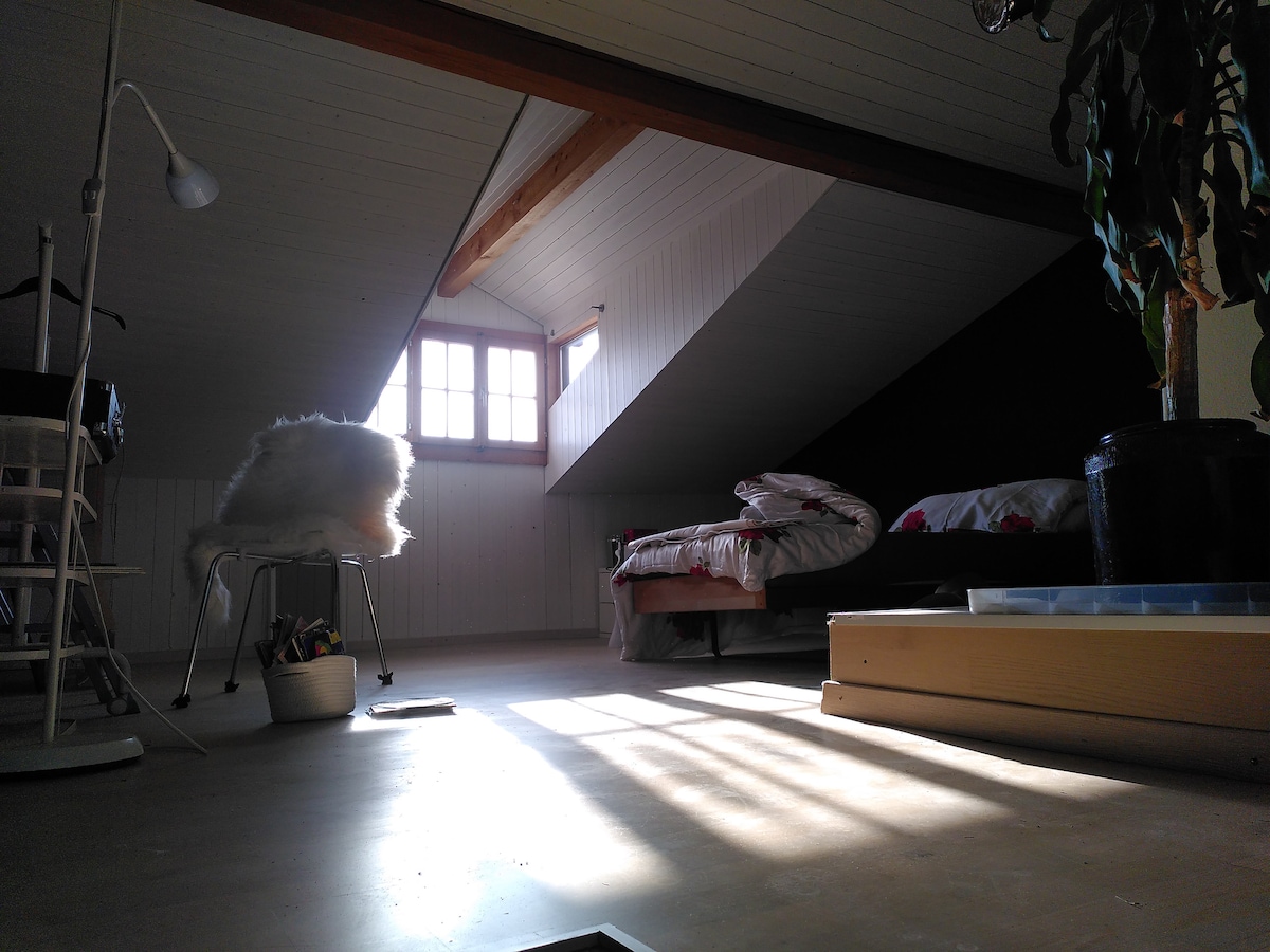 Dachzimmer im 200jährigen Haus