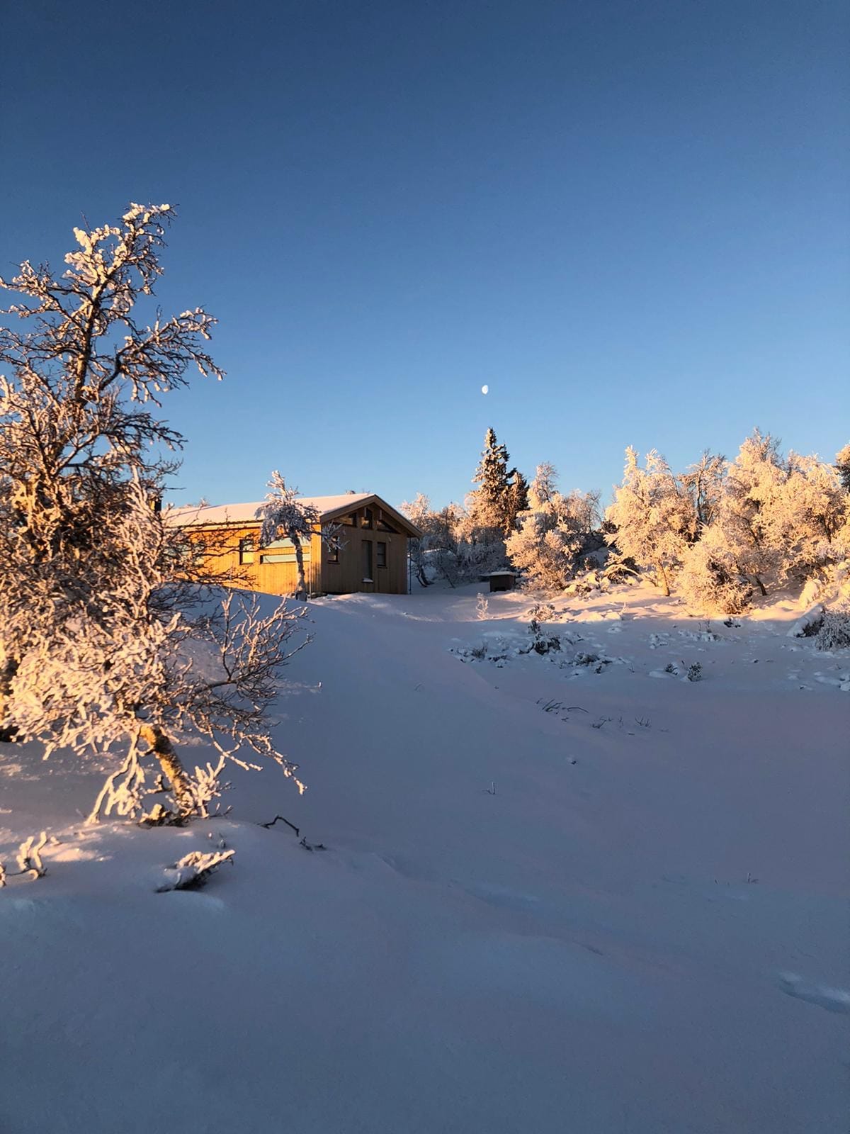 Usjenert fjellhytte med fantastisk utsikt