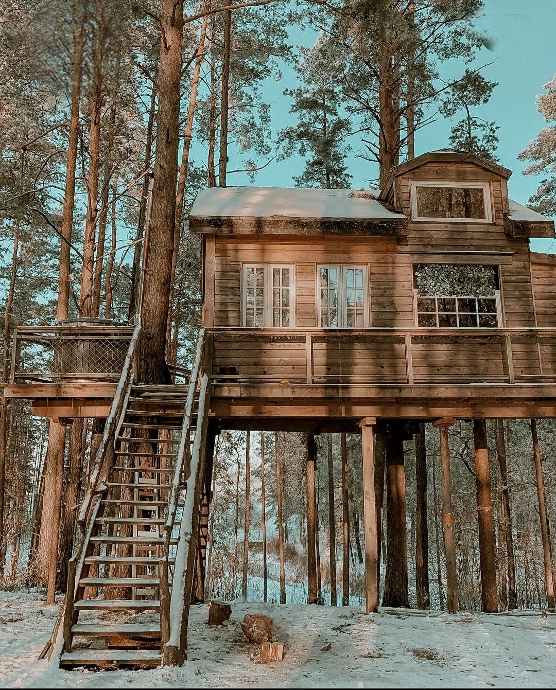 Cozy treehouse in the forest