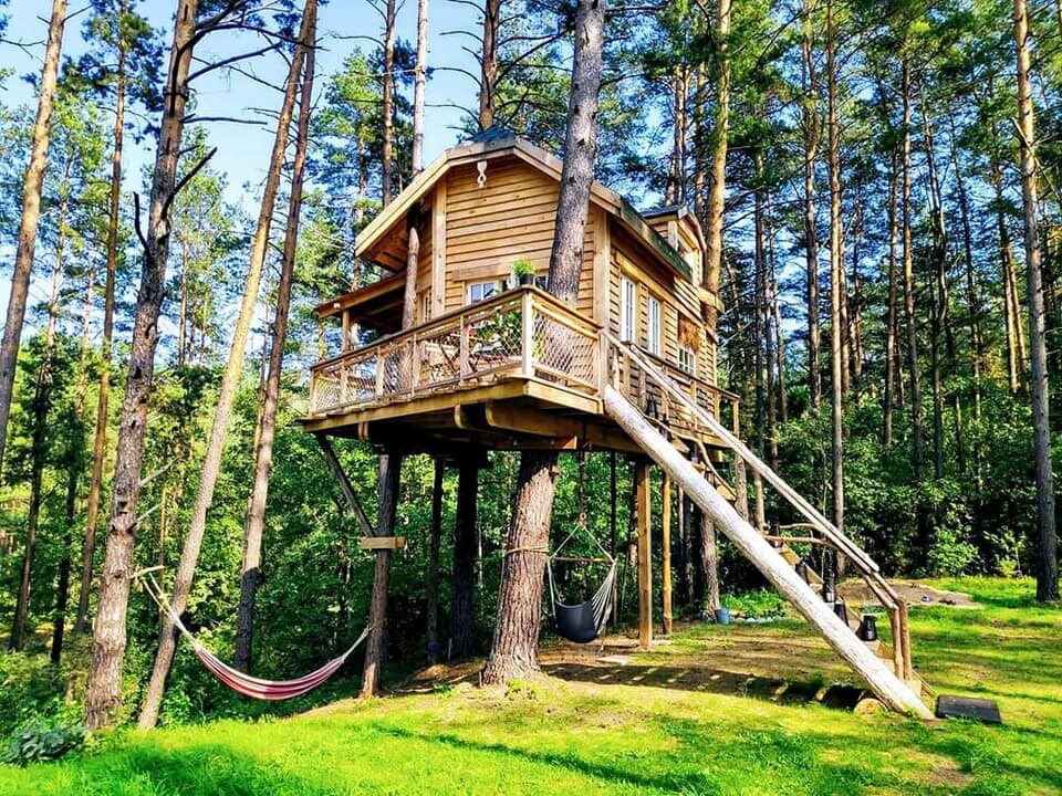 Cozy treehouse in the forest