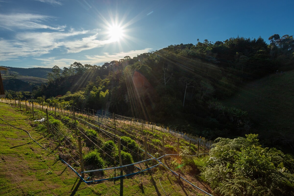 Quinta dos Manacás - Lima-Limão