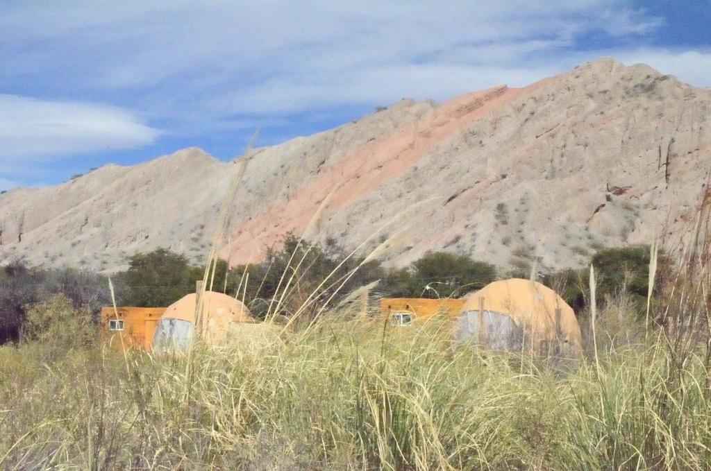 Glamping  Valles Calchaquíes