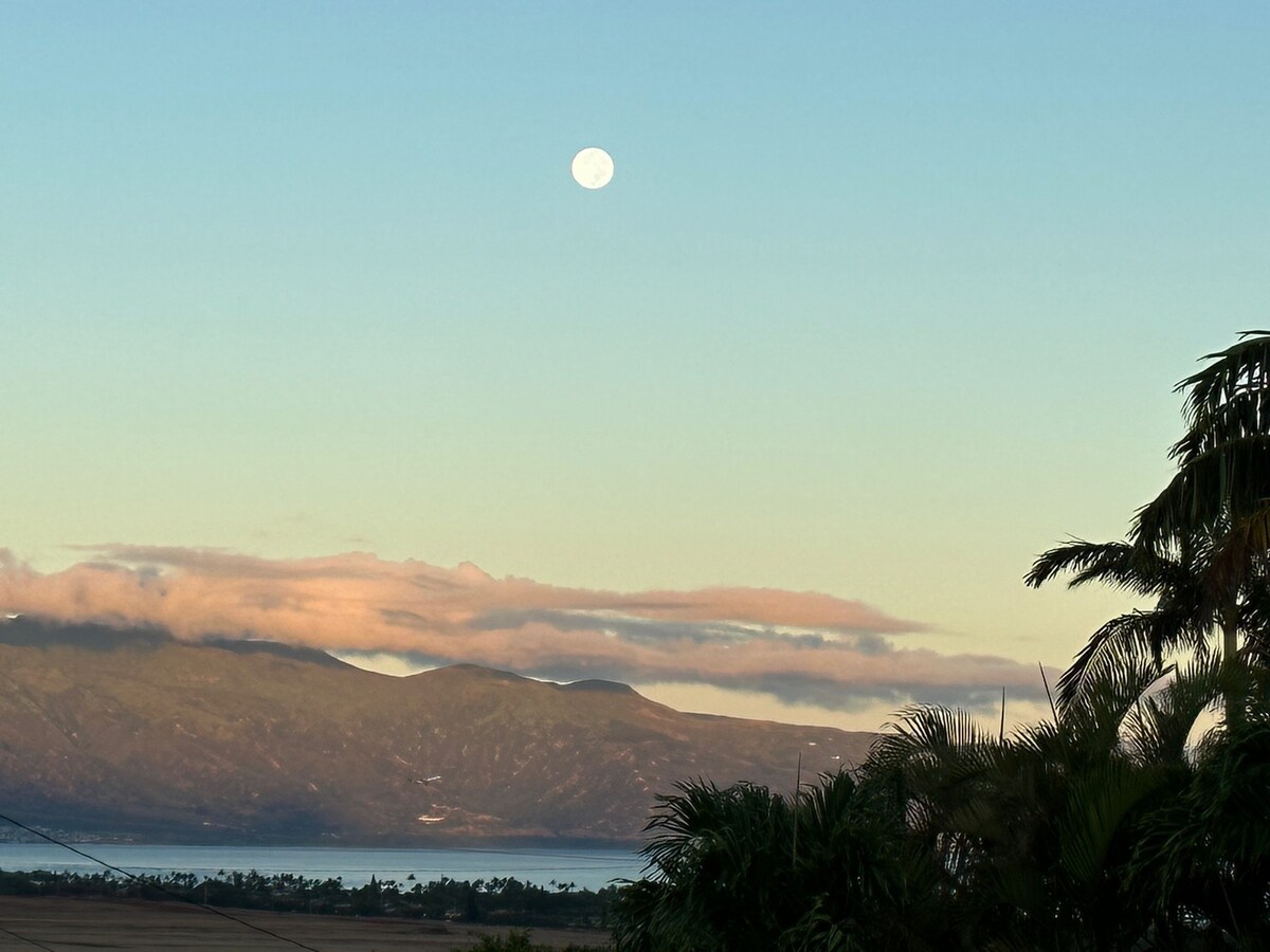 Lahaina Survivor Paia Oceanview Home