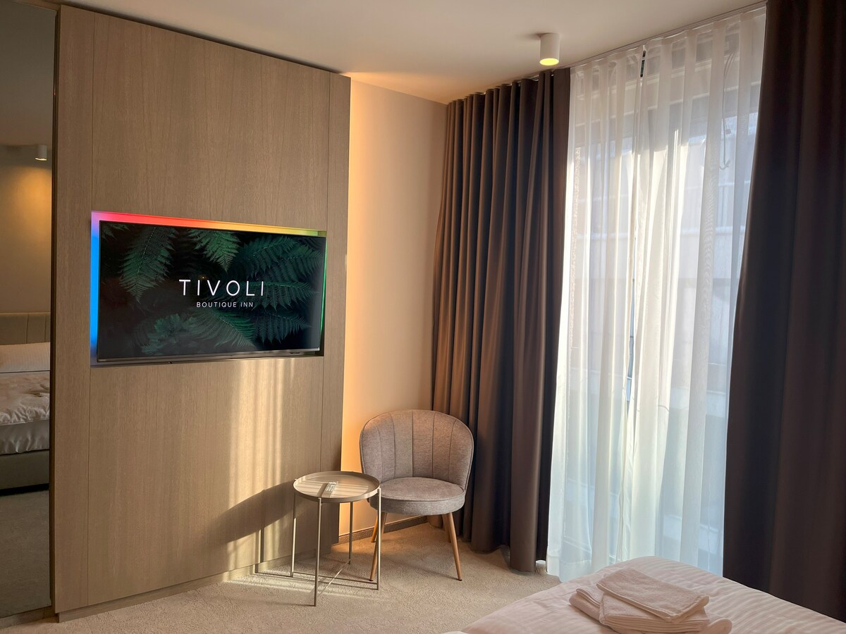 Tivoli Boutique Inn Ljubljana I高级客房
