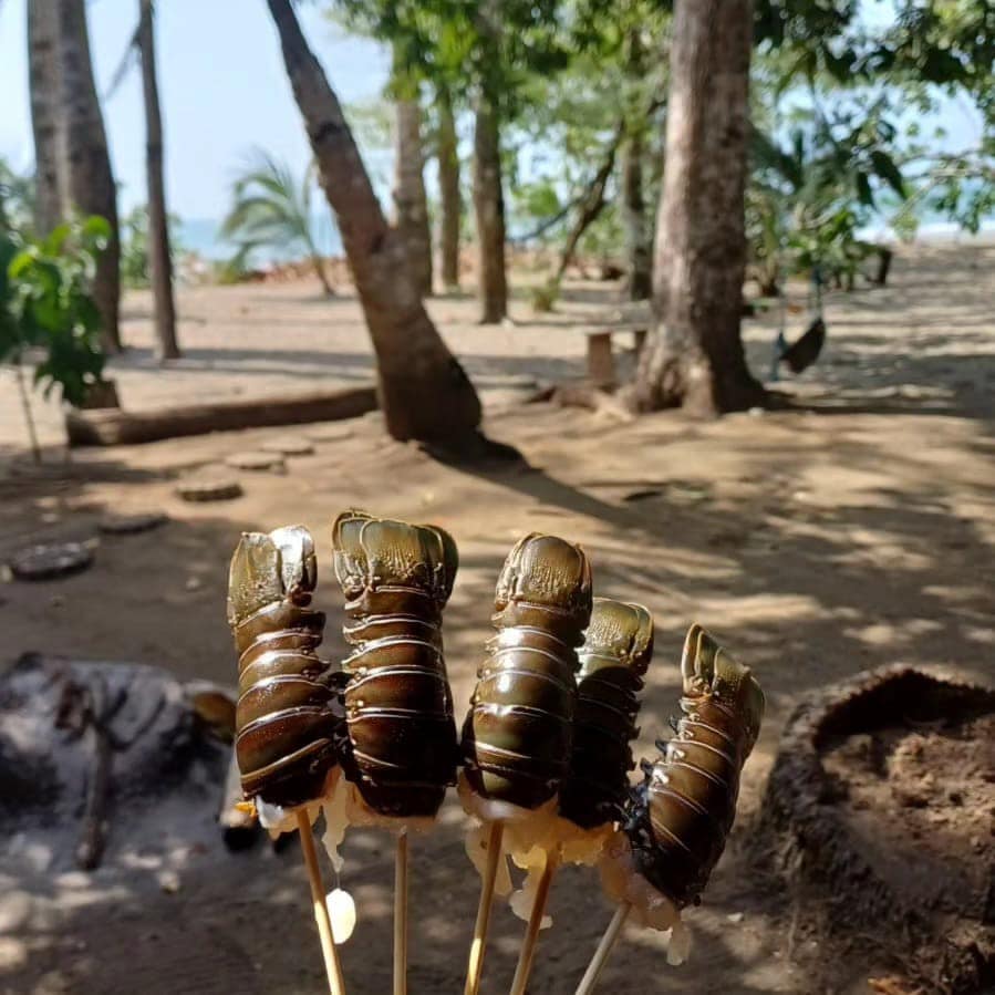 Paraíso Playa y Aventura