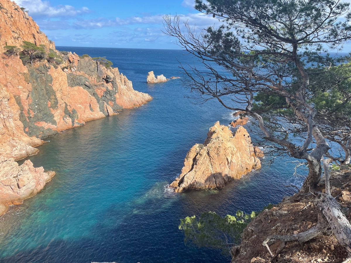 Appartement F3 équipé avec vue sur piscine et mer