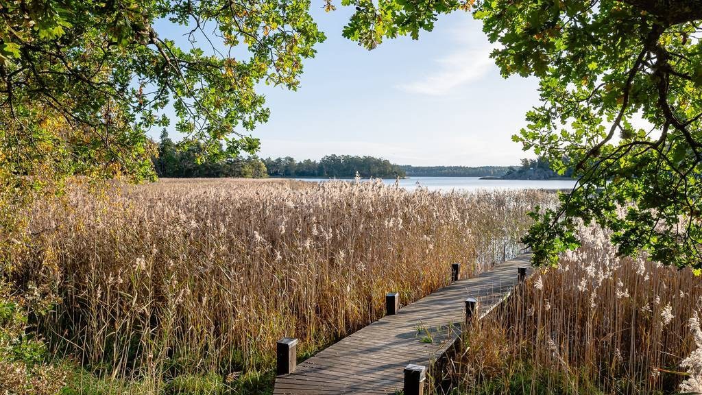 Paradis i södra skärgården Mörkö