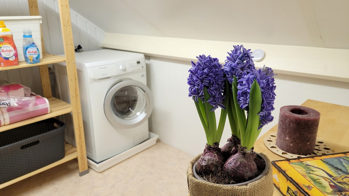 Sterrenkamer in woonhuis