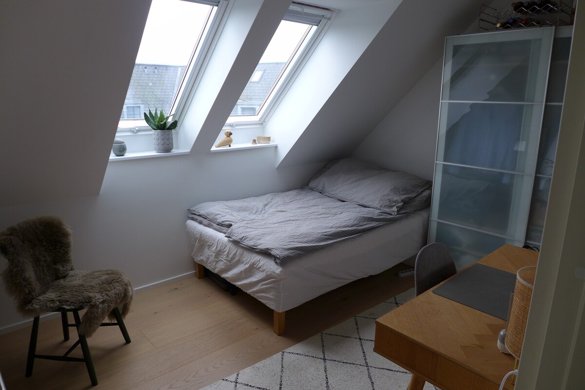 Penthouse i Aalborg Centrum