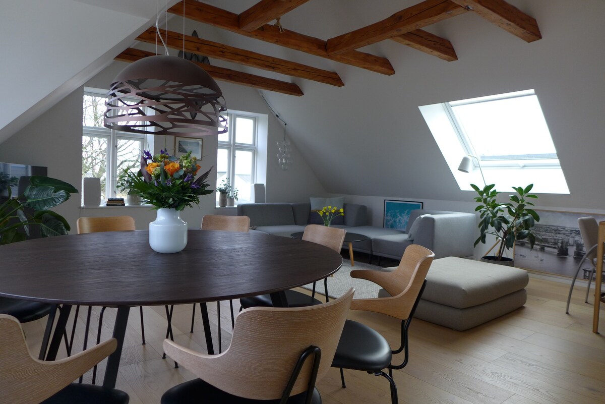 Penthouse i Aalborg Centrum