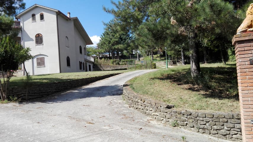 Montefalcone Appennino的民宿