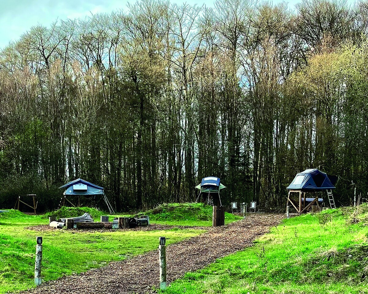 Dachzelt Dorf Freilingen Wanderfalke