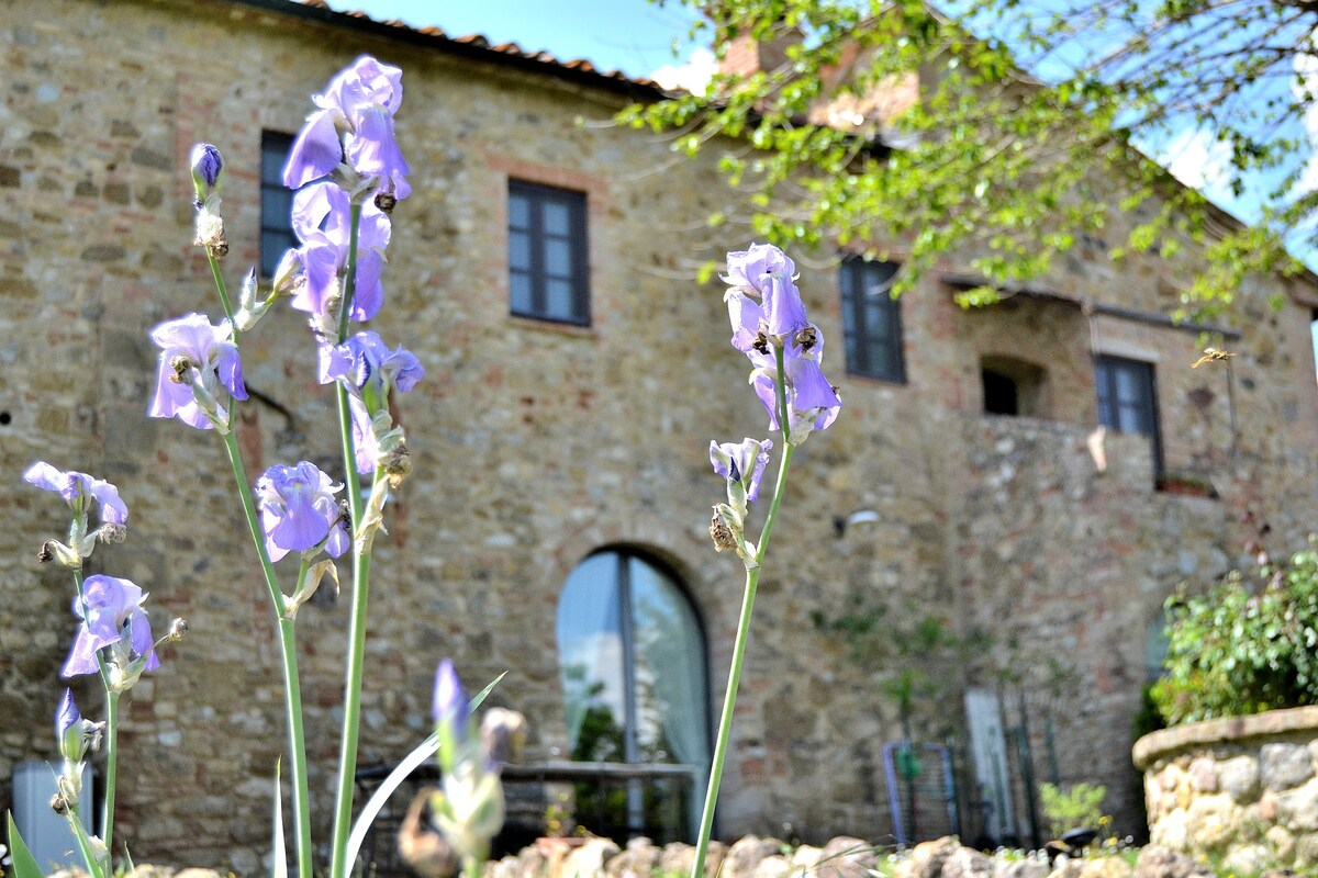 Characteristic Tuscan apartment, big shared pool!