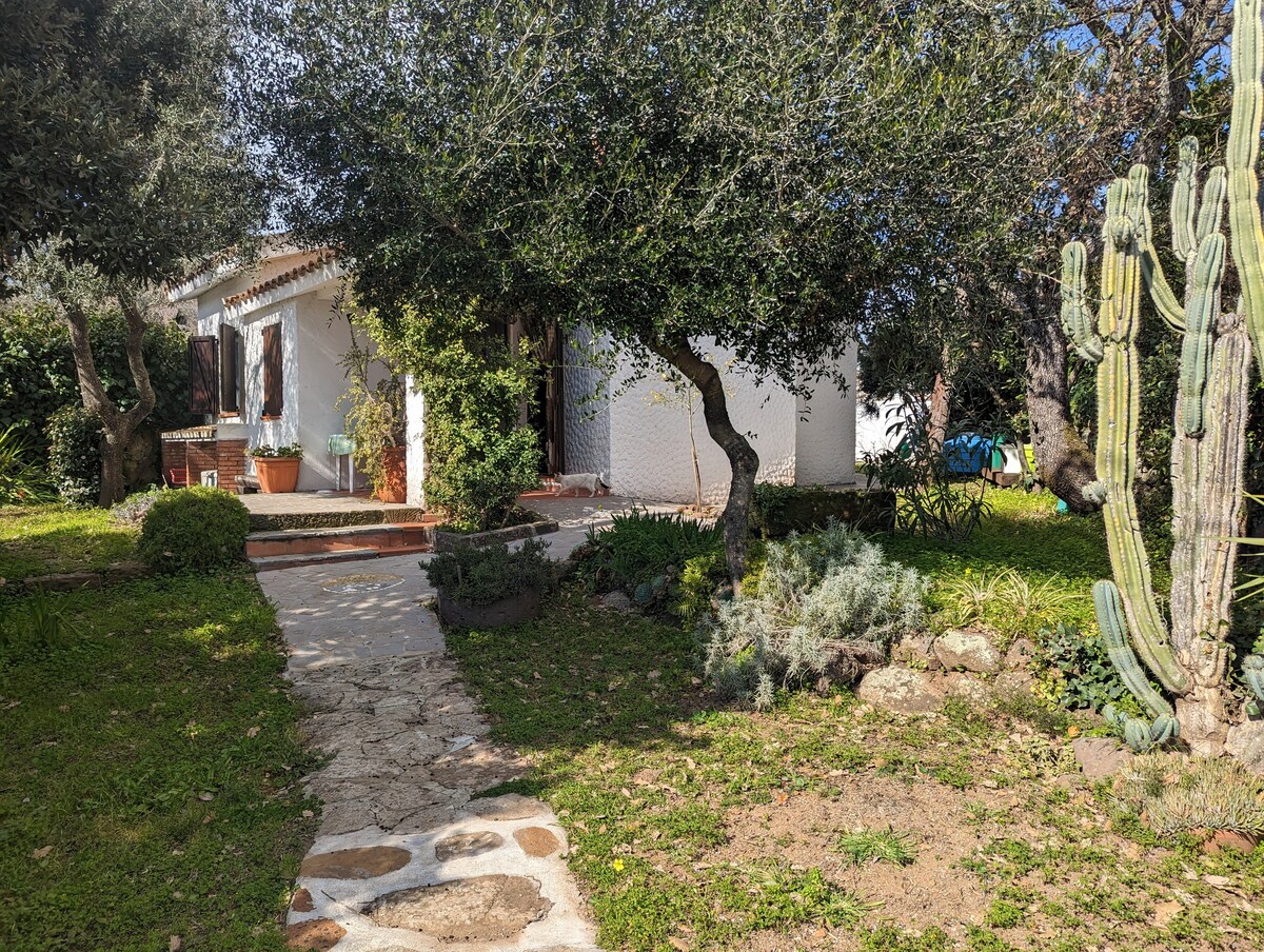 (P3347) Sant 'Agostino Family Cottage