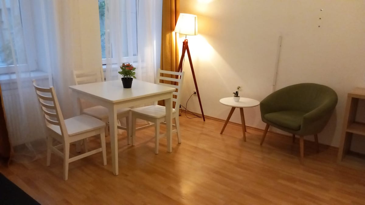 Quiet Comfort: 1 BR Vienna Apartment with Style