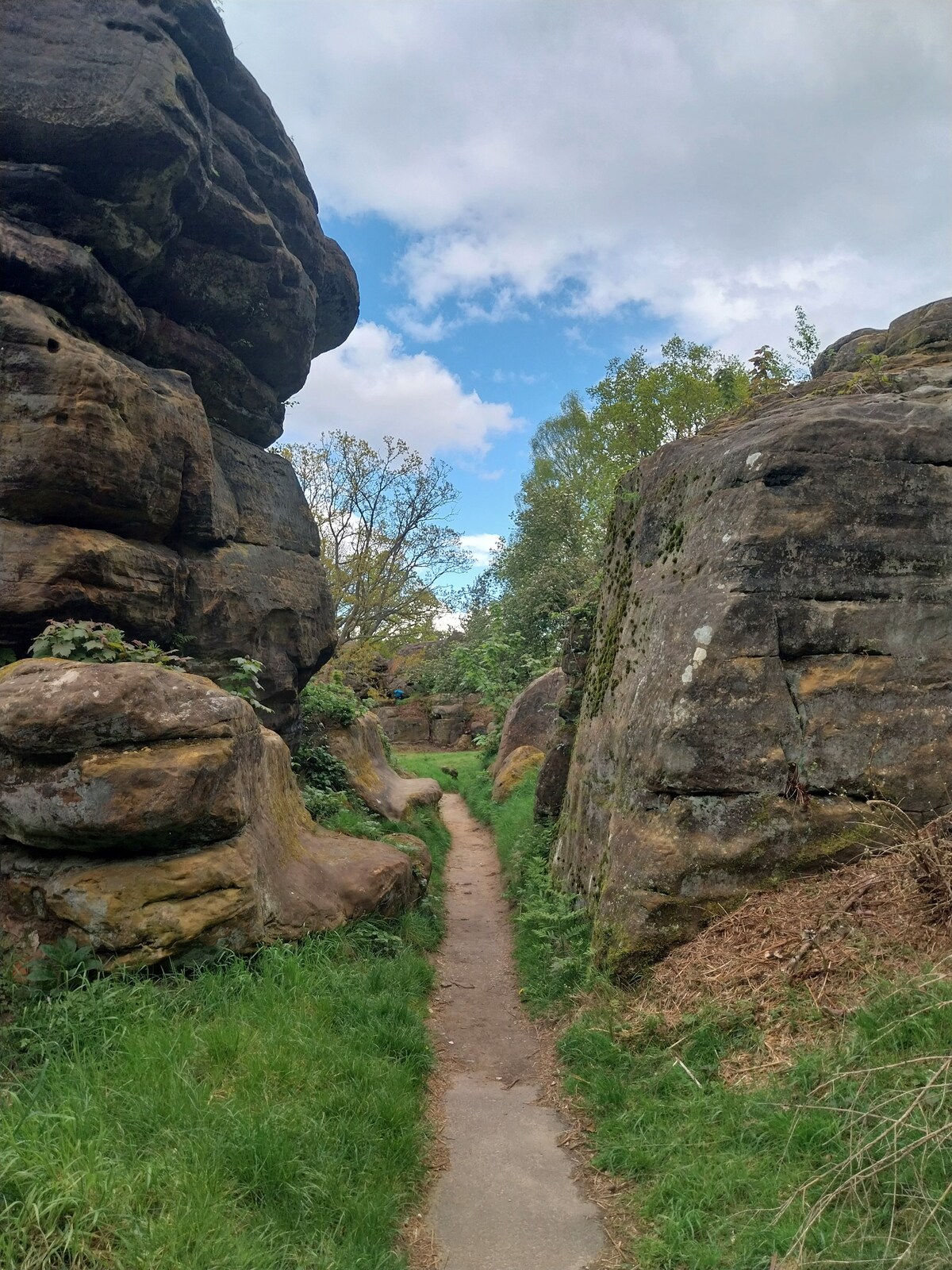 The Toad Rock Stop