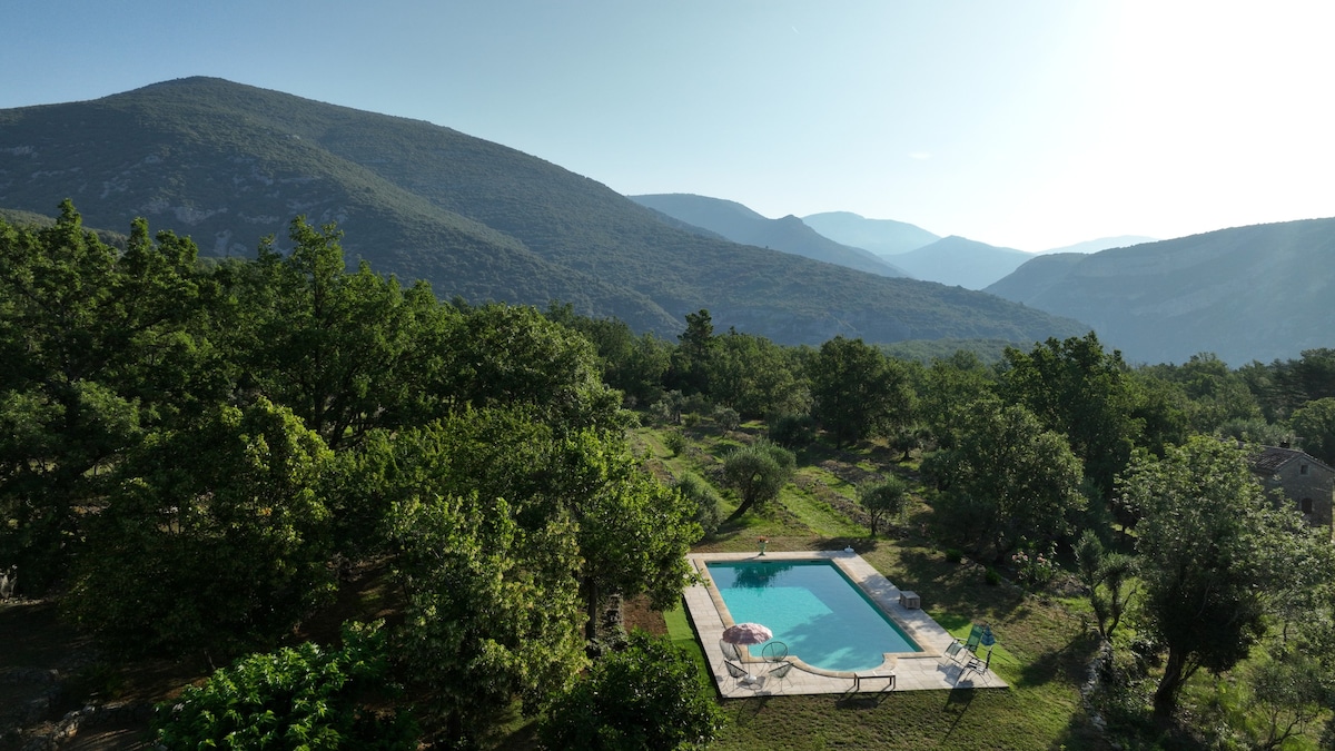 Villa - Ancien mas provençal de charme