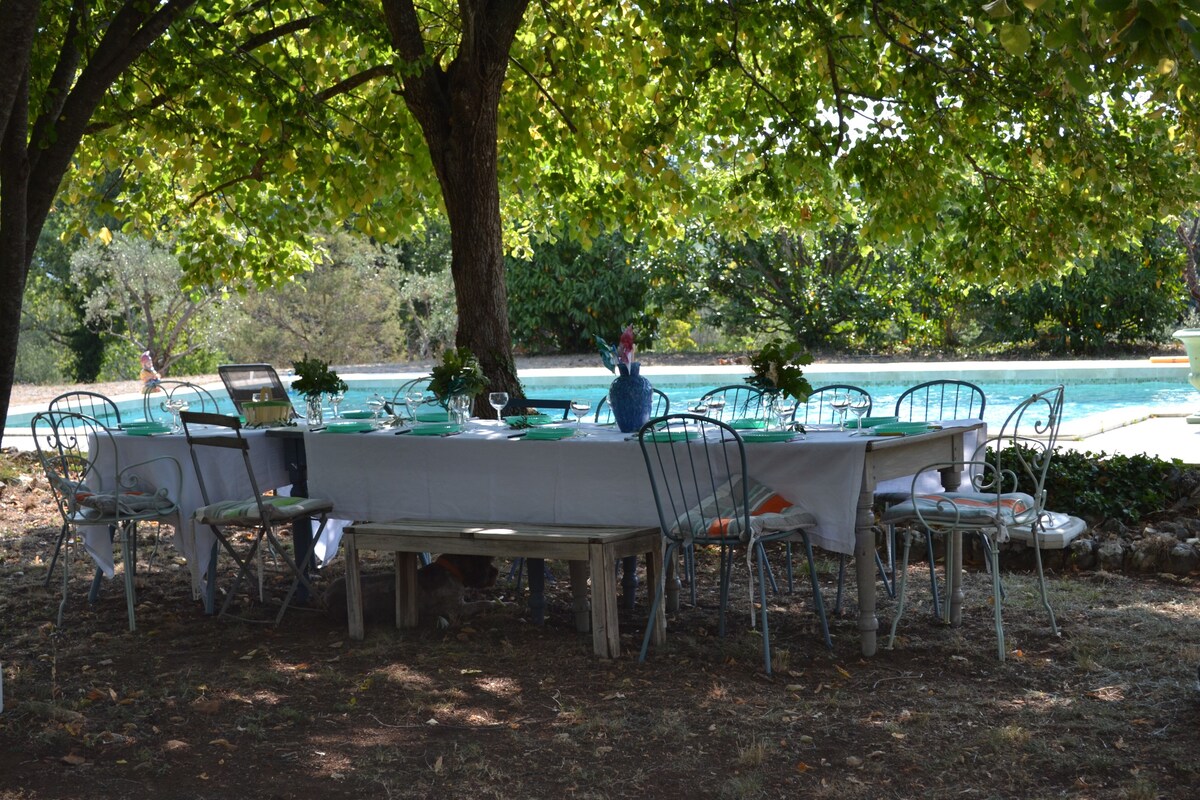 Villa - Ancien mas provençal de charme