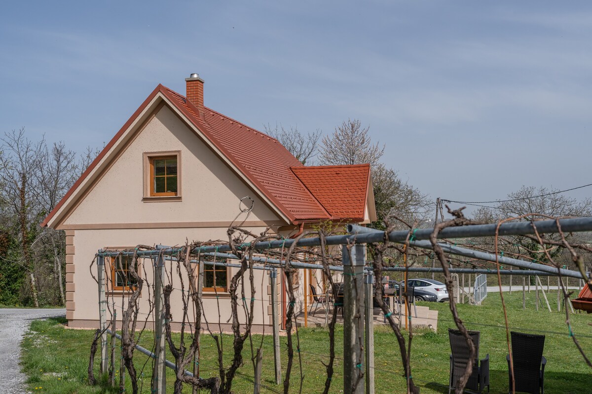 Nedelkova zidanca | Apartment among the vines (4p)