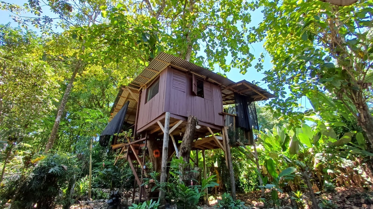 Tropical Treehouse "Playa Arco "