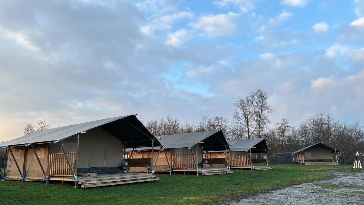 Camping de Kleine Wielen - Safari tent 6p