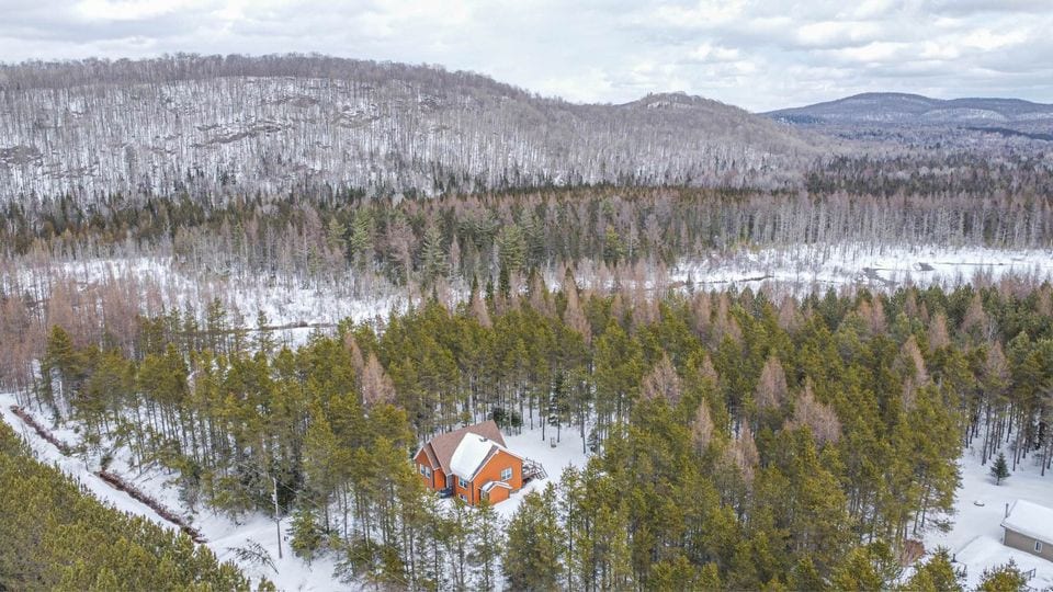 Cozy Tremblant Forest House