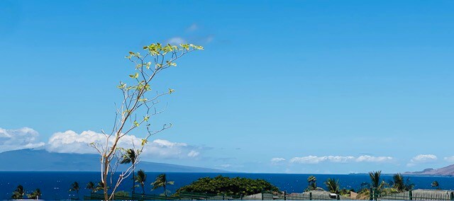 Maui Oceanside  Luxury Townhome Condo